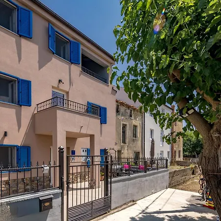 Harmony House Vito - Happy * Лопар